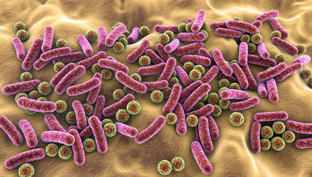 The Connection Between Healthy Skin and a Healthy Microbiome