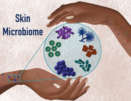 Clean Doesn’t Have to Be Harsh: How Avlo Protects Without Harming Your Skin